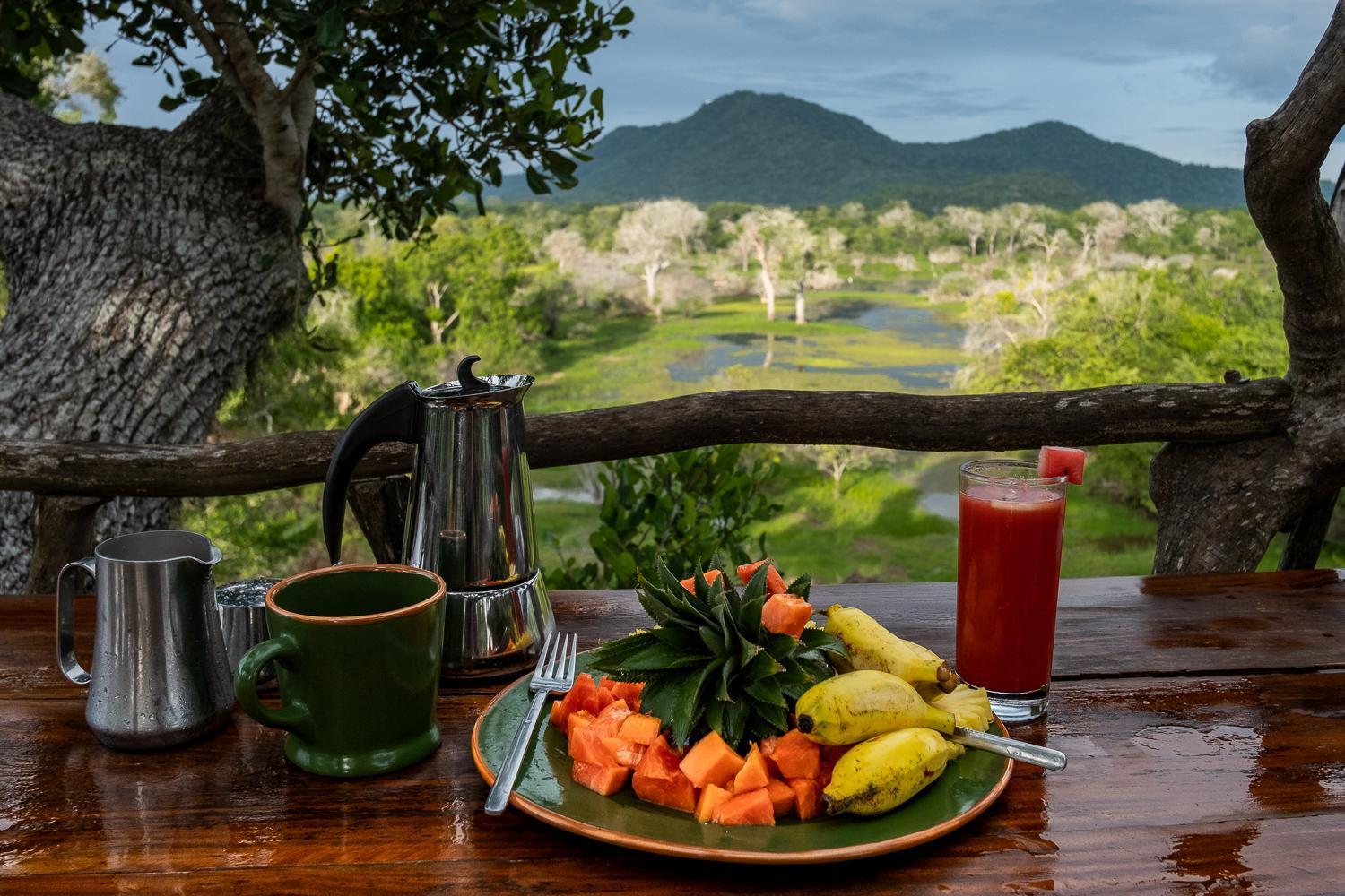 Kulu Safaris Ξενοδοχείο Yala Εξωτερικό φωτογραφία
