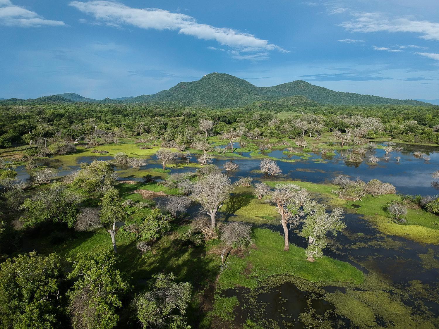 Kulu Safaris Ξενοδοχείο Yala Εξωτερικό φωτογραφία